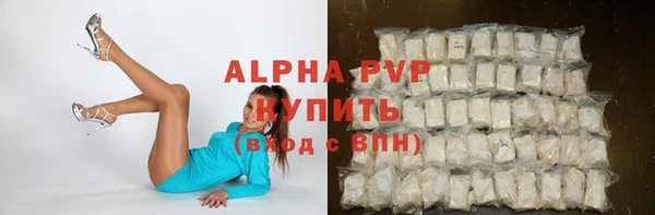 прущие грибы Богданович